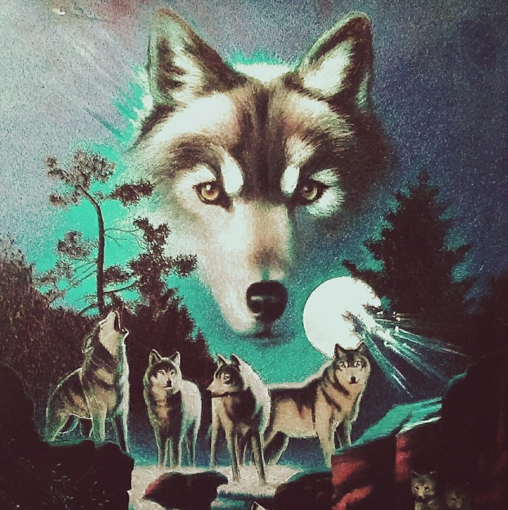 Meet your Posher, Chippadaflippa